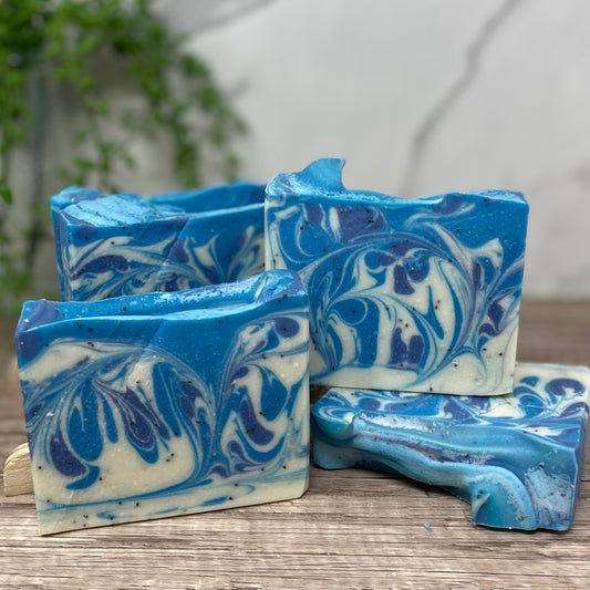 Blueberry Hand & Body Soap | Fall Collection