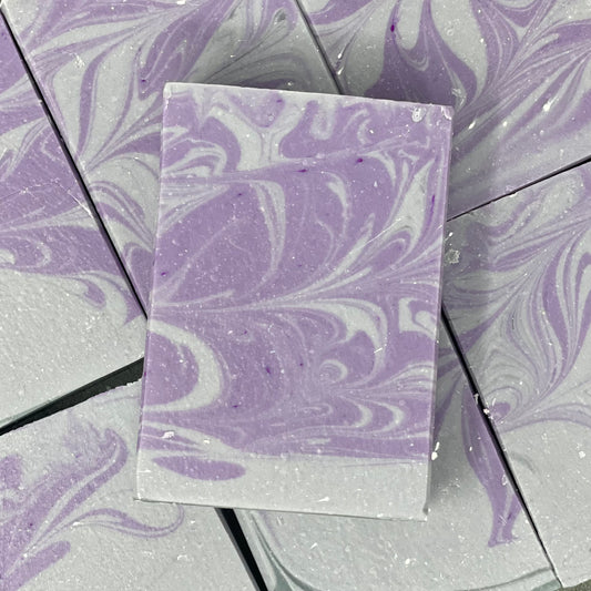 Black Raspberry & Vanilla Hand & Body Soap